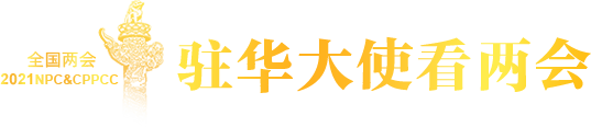 驻华大使看两会